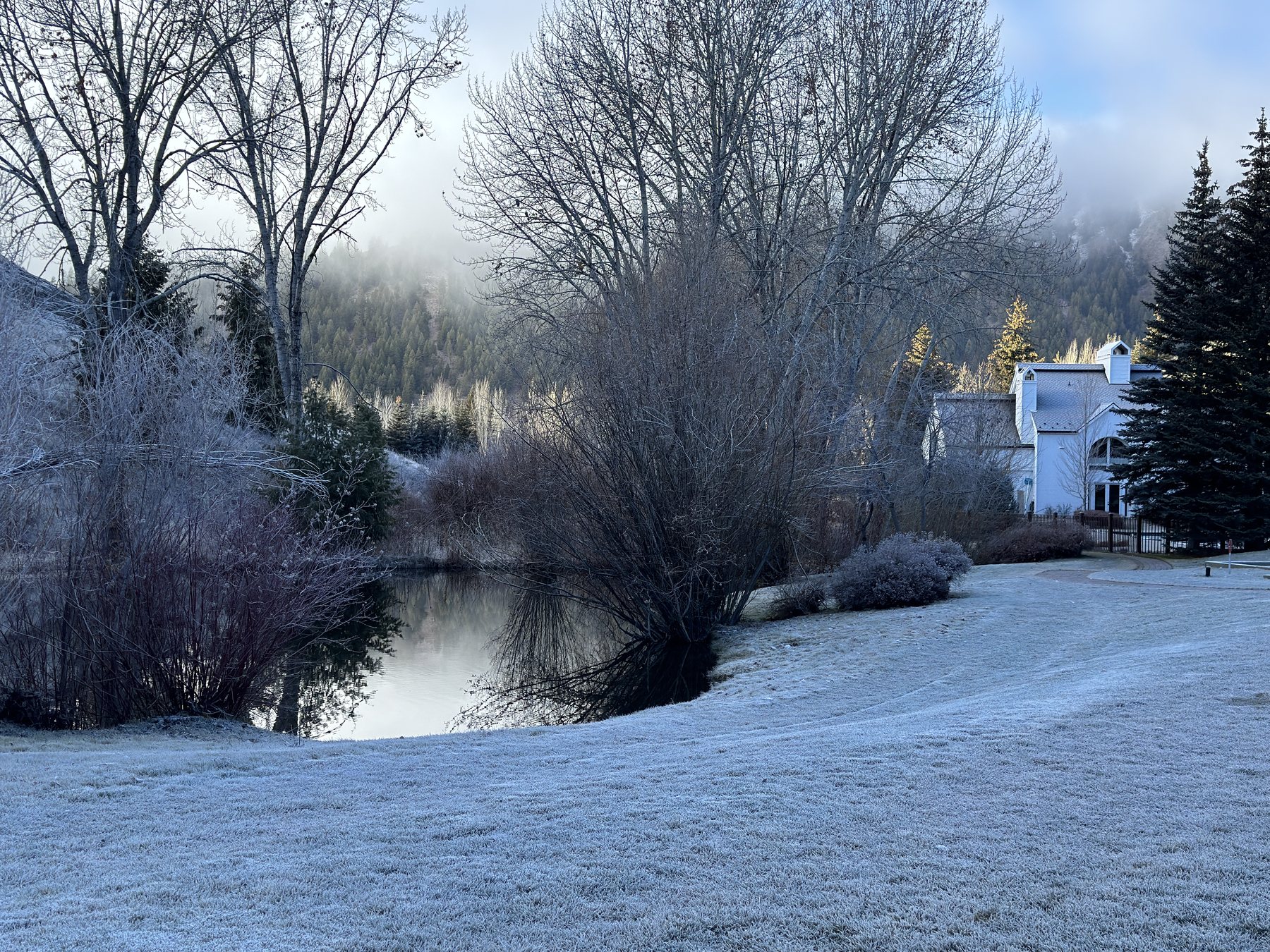 Lane Ranch pond and common area on a frosted morning